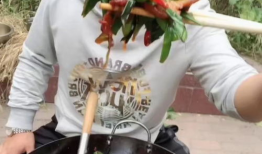 厨艺视频,解锁家常美食制作秘诀